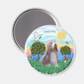 Baardcollie (bruin-wit) magneet (Voorkant / Achterkant)