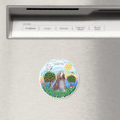 Baardcollie (bruin-wit) magneet (Insitu (Vaatwasser))
