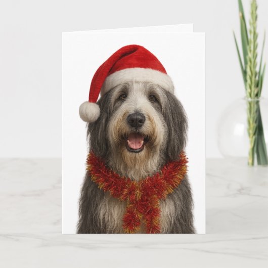 Baardcollie in een kerstmuts kerstkaart kaart (Voorkant)