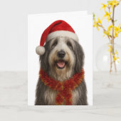 Baardcollie in een kerstmuts kerstkaart kaart (Gele Bloem)