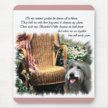 Baardcollie Kunst Cadeaus