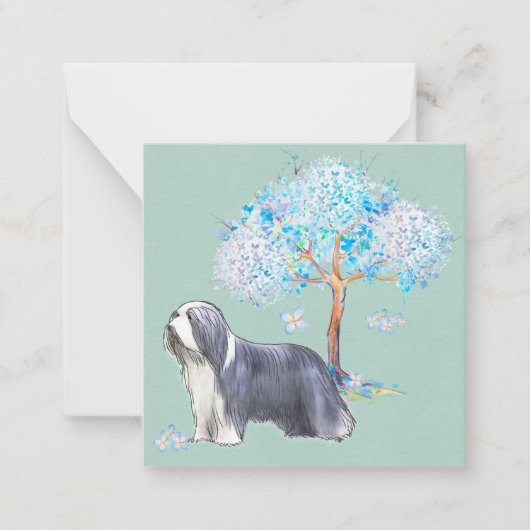 Baardcollie Notitiekaartje (Voorkant)