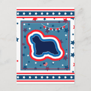 Baardcollie Patriottisch Rood Wit Blauw 4 juli Feestdagenkaart