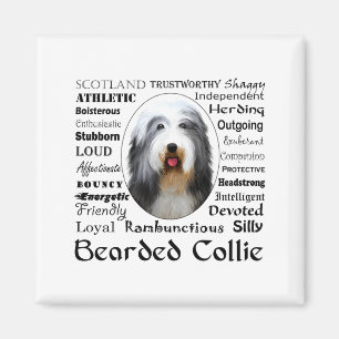 Baardcollie T-shirt Magneet