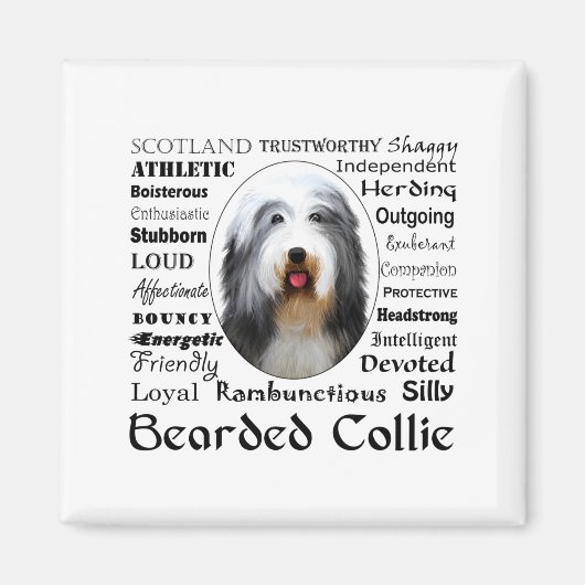 Baardcollie T-shirt  Magneet (Voorkant)