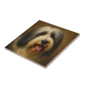 Baardcollie Tegeltje (Zijkant)