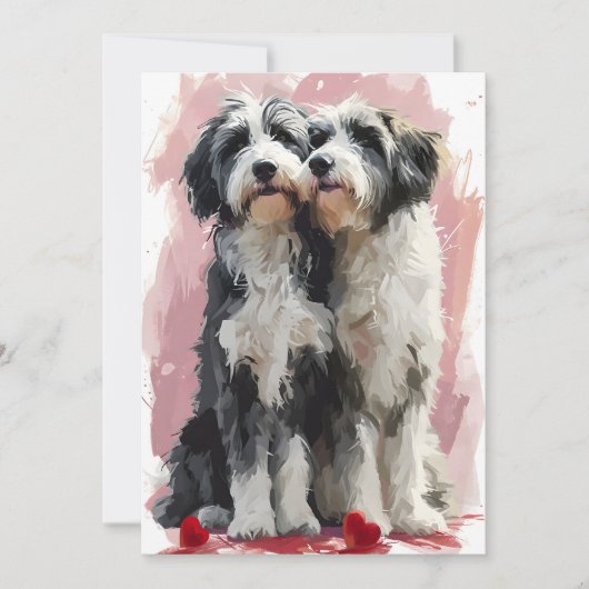 Baardcollie Valentijnsdag Feestdagenkaart (Voorkant)