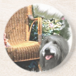 Baardcollie Zomer Tuin Zandsteen Onderzetter