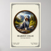 Baardcollie Zoölogie Serie Poster (Voorkant)