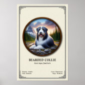Baardcollie Zoölogie Serie Poster (Voorkant)