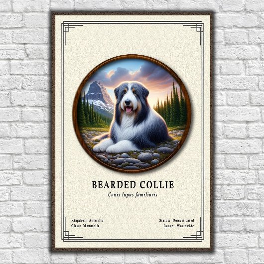 Baardcollie Zoölogie Serie Poster