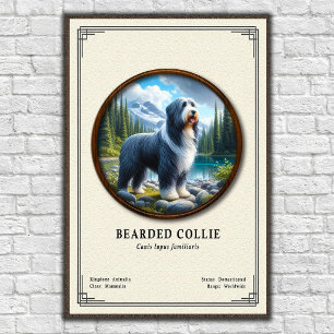 Baardcollie Zoölogie Serie Poster