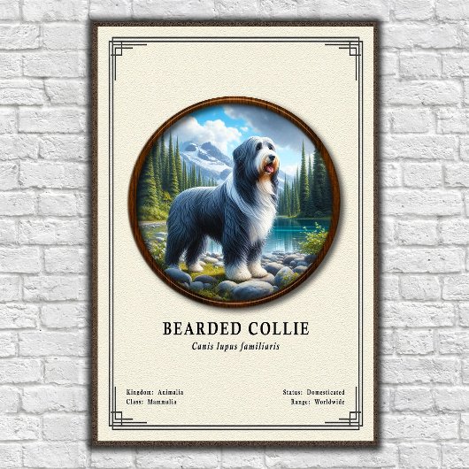 Baardcollie Zoölogie Serie Poster