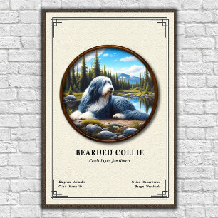 Baardcollie Zoologie Serie Poster