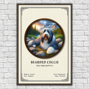 Baardcollie Zoölogie Serie Poster