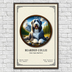 Baardcollie Zoölogie Serie Poster
