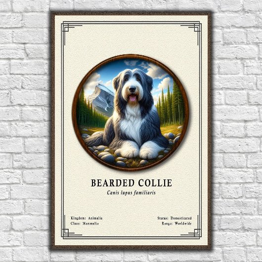 Baardcollie Zoölogie Serie Poster
