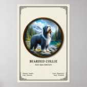 Baardcollie Zoölogie Serie Poster (Voorkant)