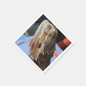 baarddrakenservet servet (Hoek)