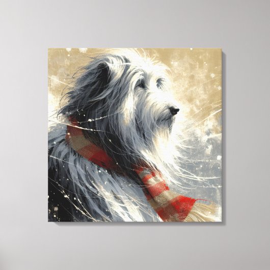 Baarde collie met gestreepte wintersjaal canvas afdruk (Voorkant)