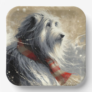Baarde collie met gestreepte wintersjaal papieren bordje