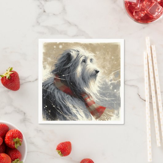 Baarde collie met gestreepte wintersjaal servet (Insitu)