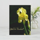 Baardiris met gele bloemen kaart (Staand voorkant)