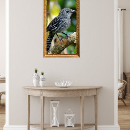 Baardkuifmierklauwier Poster