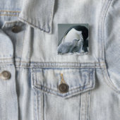 Baardpinguïns, Pygoscelis antarctica), Vierkante Button 5,1 Cm (In situ)