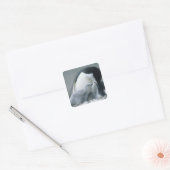 Baardpinguïns, Pygoscelis antarctica), Vierkante Sticker (Envelop)