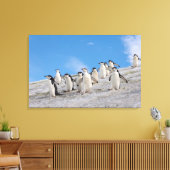 Baardrobben | Pygoscelis Antarctica Canvas Afdruk (Insitu (Woonkamer))