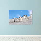 Baardrobben | Pygoscelis Antarctica Canvas Afdruk (Insitu (Houten vloer))