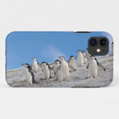 Baardrobben | Pygoscelis Antarctica Case-Mate iPhone Case (Achterkant (horizontaal))