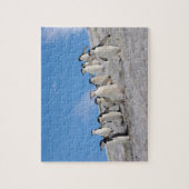 Baardrobben | Pygoscelis Antarctica Legpuzzel (Verticaal)