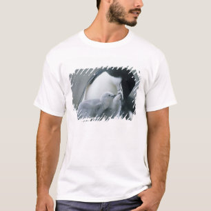 Baardrobben, Pygoscelis antarctica), T-shirt