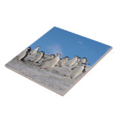 Baardrobben | Pygoscelis Antarctica Tegeltje (Zijkant)