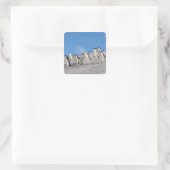 Baardrobben | Pygoscelis Antarctica Vierkante Sticker (Tas)