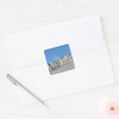 Baardrobben | Pygoscelis Antarctica Vierkante Sticker (Envelop)