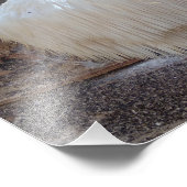 baardtand schimmel foto afdruk (Hoek)