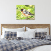 Baardzanger (Dendroica castanea) volwassen Canvas Afdruk (Insitu (Slaapkamer))