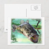 baars, groen briefkaart (Voorkant / Achterkant)