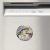 baars magneet (Insitu (Vaatwasser))