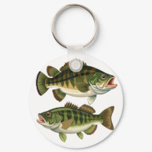 Baarsvissen voor vissers en visvrouwen