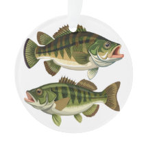 Baarsvissers en visvrouwen