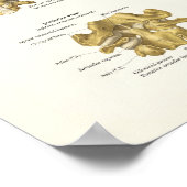 Baarwervelkolom en Poster van wervels (Hoek)