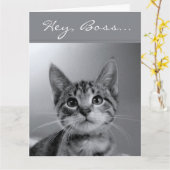 Baas, heb een GESPONNEN-fectly MEOW-velous Birthda Kaart (Gele Bloem)