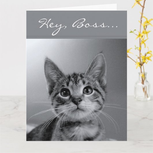 Baas, heb een GESPONNEN-fectly MEOW-velous Birthda Kaart (Gele Bloem)