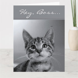 Baas, heb een GESPONNEN-fectly MEOW-velous Birthda Kaart
