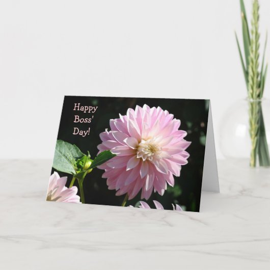Baas Kaarten Roze Dahlia Flowers Happy Boss Day! (Voorkant)