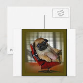 Baas Pug. Briefkaart (Voorkant / Achterkant)
